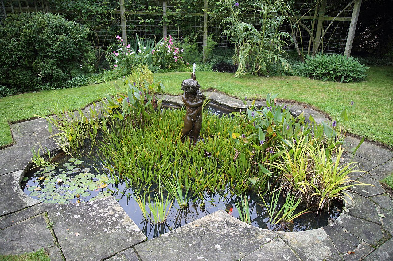Small planted ornamental garden pond, illustrative reference